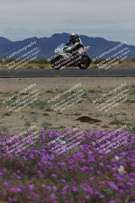 media/Jan-14-2023-SoCal Trackdays (Sat) [[497694156f]]/Turn 14 Exit Bloomig (145pm)/
